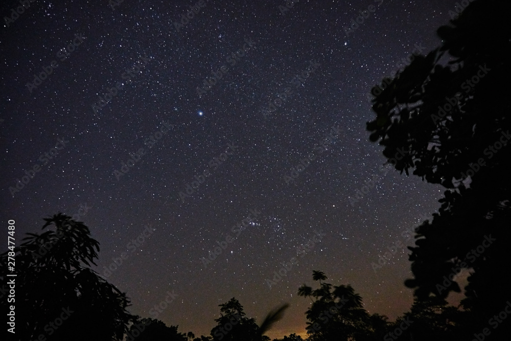 Fototapeta premium Starry night with a natural trees frame, Feira de Santana, Bahia, Brazil