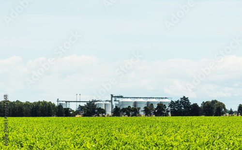 Landscape view of agricultural silos in New Zealand with copy space.