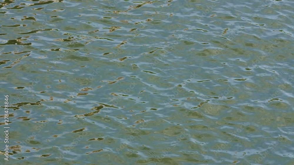 Slow Motion River Water Ripples in Windsor Slow Motion River Water Ripples in Windsor