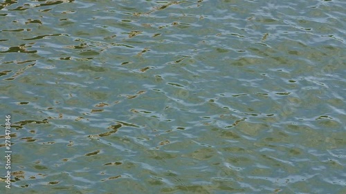 Slow Motion River Water Ripples in Windsor photo