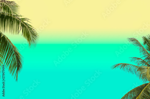 Tropical coconut palm leaves on pastel background for Summer concept and Spring lifestyle design with copy space.
