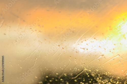 Raindrops on the glass. Sun rays and forest. Car windshield