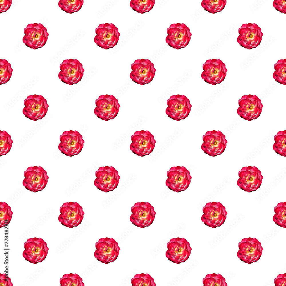 Vine red rose seamless pattern. Top view. Vine red rose seamless pattern. Top view.