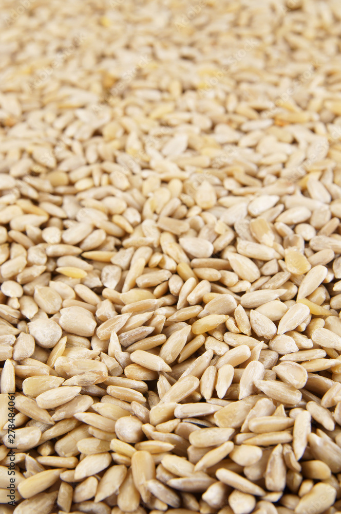 Raw sunflower seeds as background
