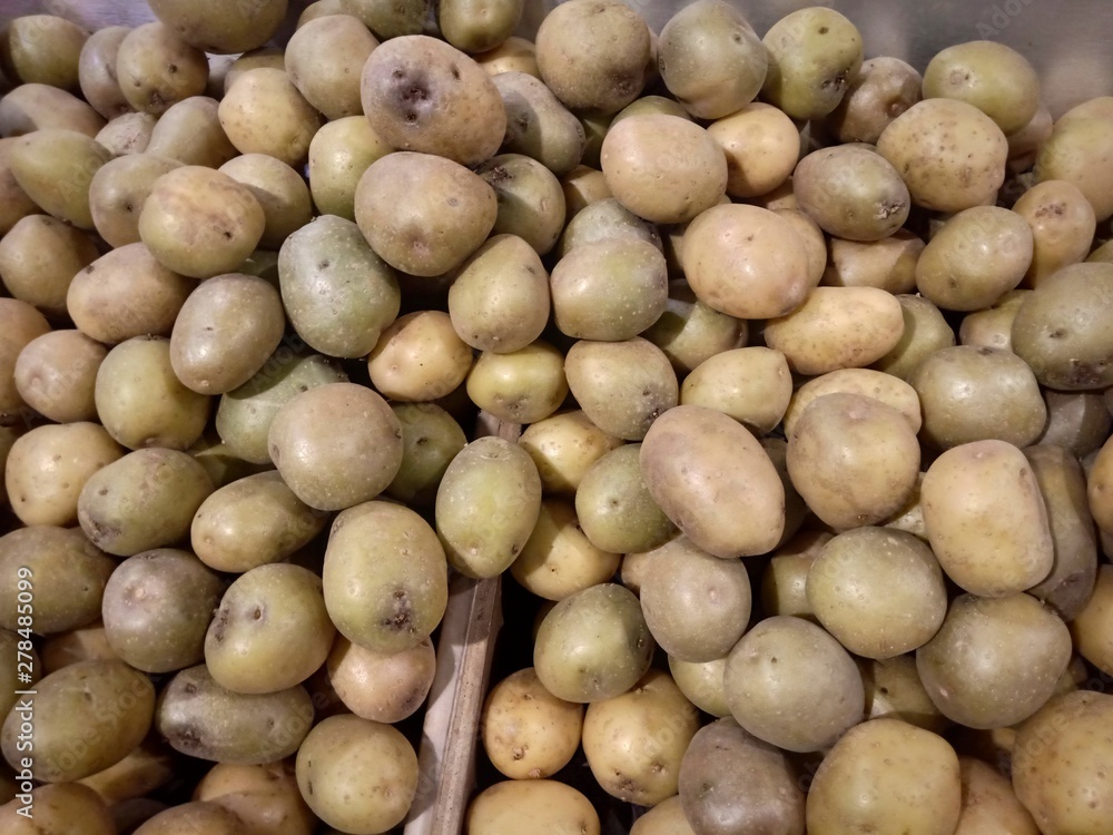 New harvest of sweet ripe potatoes on market close up New harvest of sweet ripe potatoes on market close up