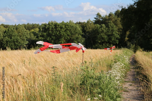 Warnband an einem Kornfeld zur Abschreckung von Wildtieren photo