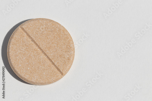 one large round plate for digestion on a white background