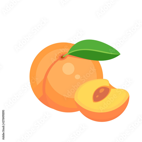 peach fruit isolated on white background. Vector illustration.