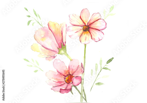 pink flower watercolor isolate on white background