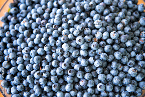 Background texture of freshly picked blueberries