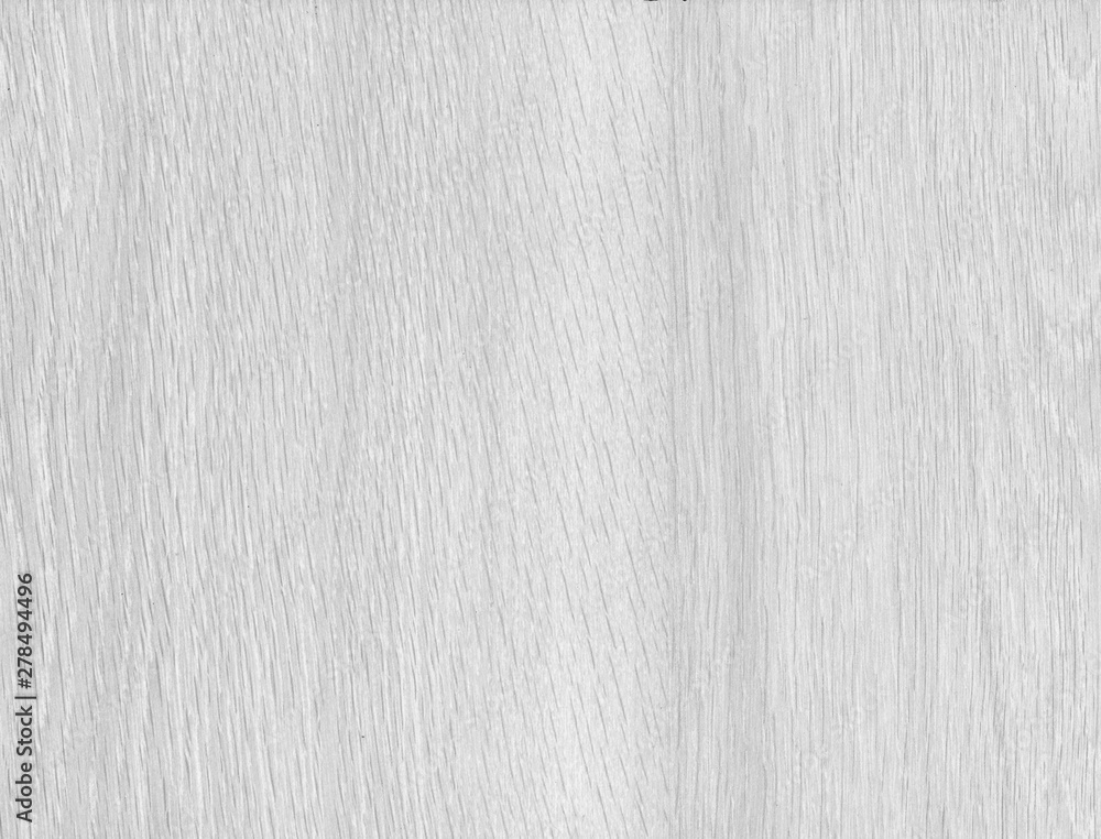 Wood texture with natural pattern. Wood surface background in shades of grey Wood texture with natural pattern. Wood surface background in shades of grey