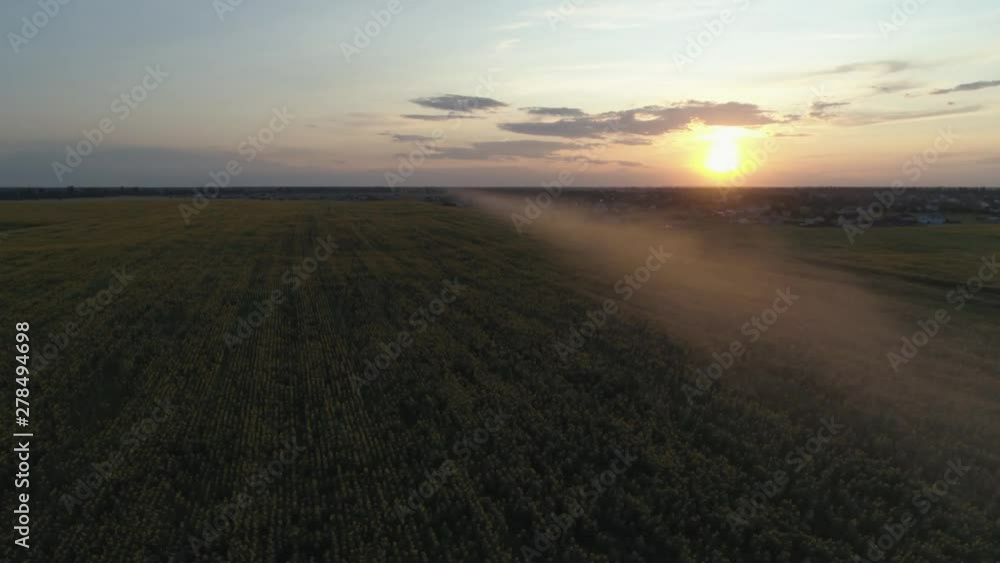 Aerial. Thin line of smoke above sunflowers field. Sunset. 4K. Aerial. Thin line of smoke above sunflowers field. Sunset. 4K.