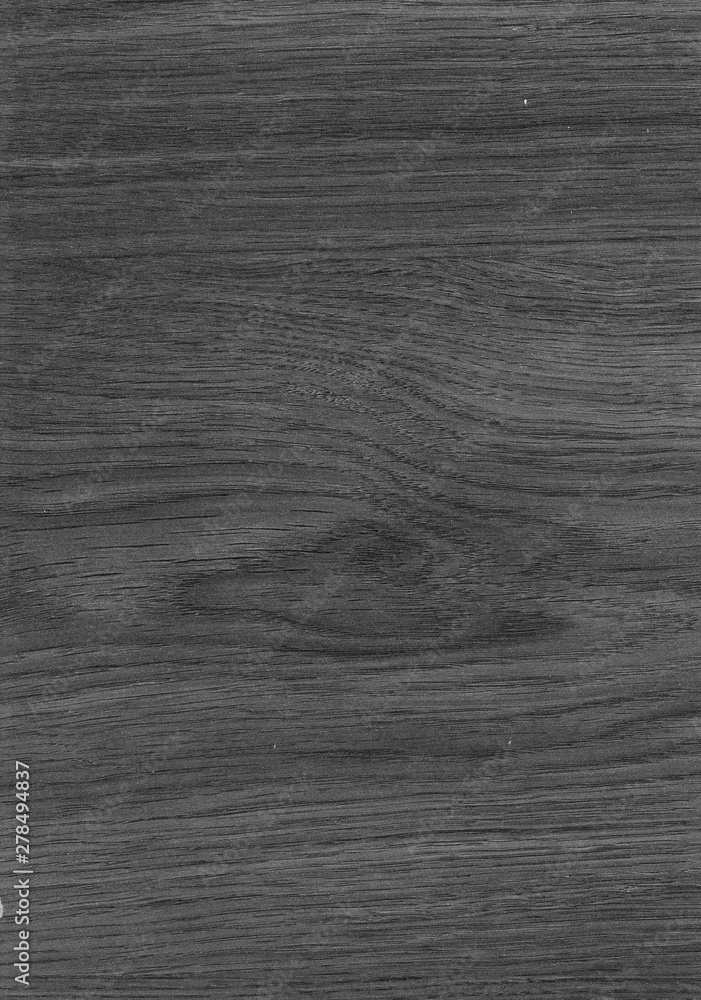 Obraz premium Wood texture with natural pattern. Wood surface background in shades of grey