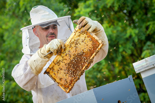 Beekeeper Controlling Colony And Bees © tcsaba