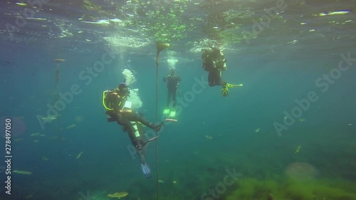 Wallpaper Mural Divers descending in open water at the sea in slow motion. Torontodigital.ca