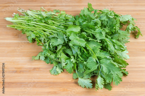 Bundle of fresh cilantro on wooden cutting board close-up