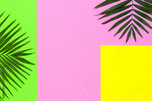 Tropical palm leaves on bright yellow green pink background. Flat lay, top view, copy space. Summer background, nature. Creative minimal background with tropical leaves. Leaf pattern