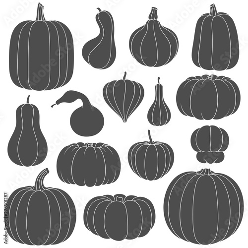 Set of black and white silhouettes with pumpkins of different shapes. Isolated vector objects on white background.