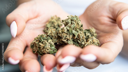 Medical and recreational use of cannabis in the treatment of female diseases