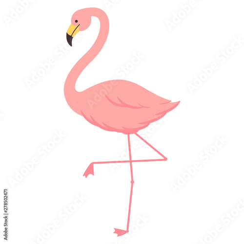 Cartoon flamingo vector illustration isolated on a white background.