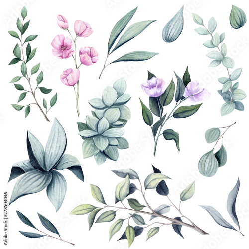 Set of Watercolor Pink Flowers and Leaves