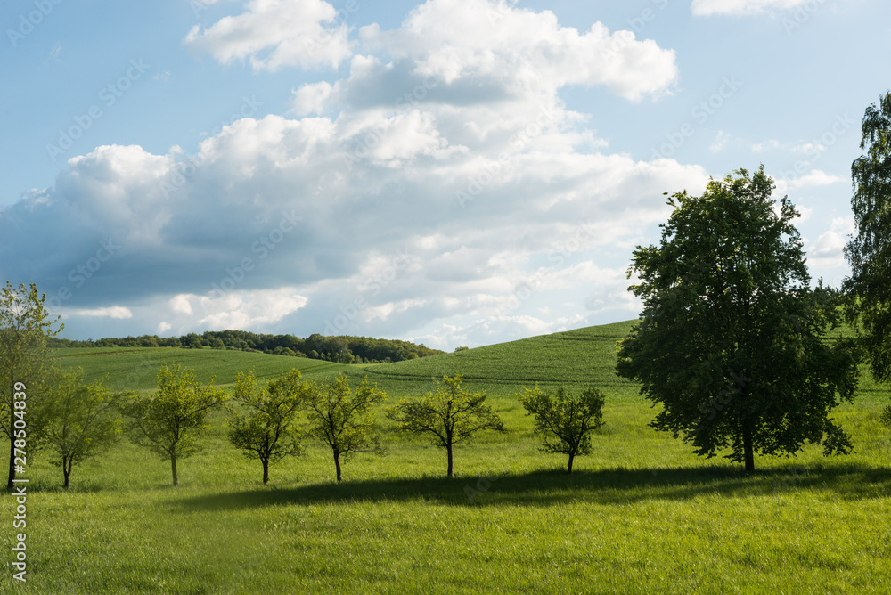 Obraz premium Green Landscape