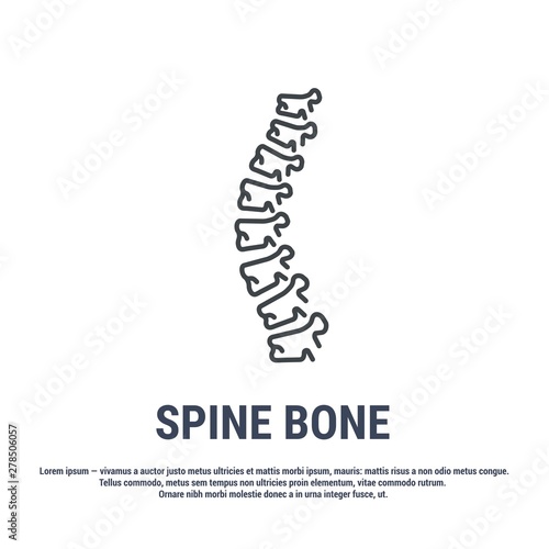 Vector icon. Line design. Spine bones and structure. Medicine and anatomy. Anatomical structure of man. Symbol, element, sign, logo, emblem. Concept illustration.