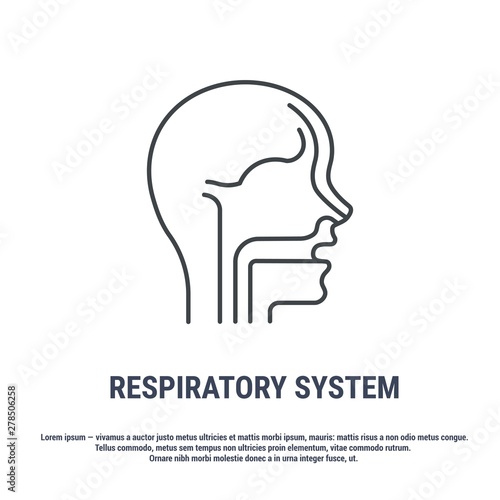 Vector icon. Line design. Respiratory system. Anatomical structure of man. Disease and treatment. Symbol, element, sign, logo, emblem. Concept illustration.