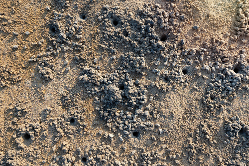 Photo Texture of sand,top view