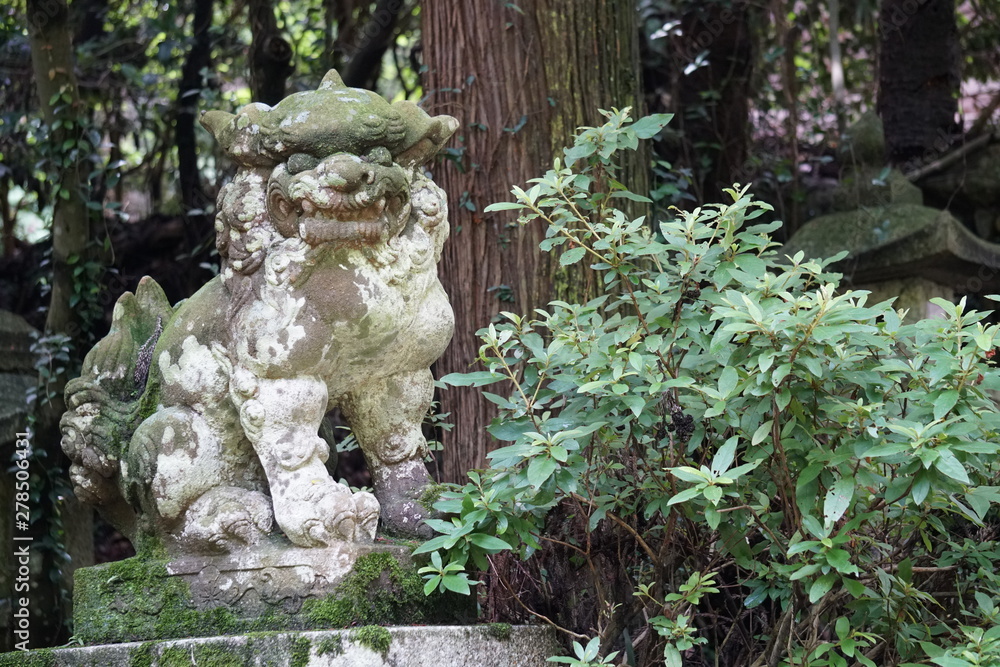 Obraz premium 狛犬