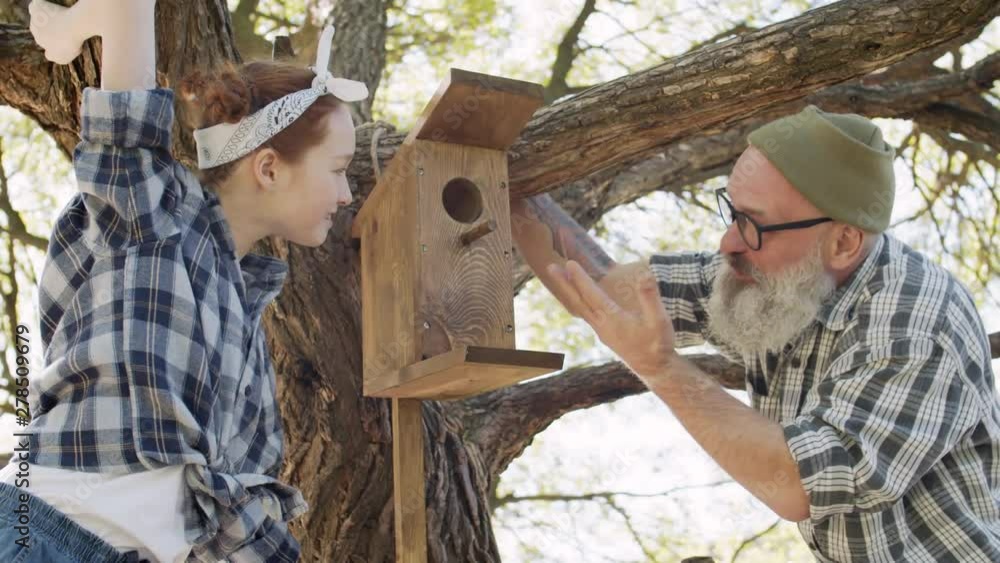 Medium shot of Caucasian bearded man and his red-haired granddaughter sitting on tree near new handmade wooden nesting box and discussing it Medium shot of Caucasian bearded man and his red-haired granddaughter sitting on tree near new handmade wooden nesting box and discussing it