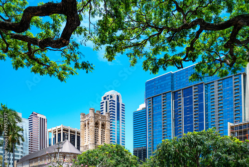 Honolulu, Hawaii , the downtown buildings seen from the State Capitol  garden