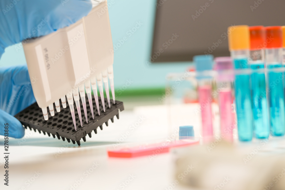 Laboratory of genetic research. PCR plates and multichannel pipettes