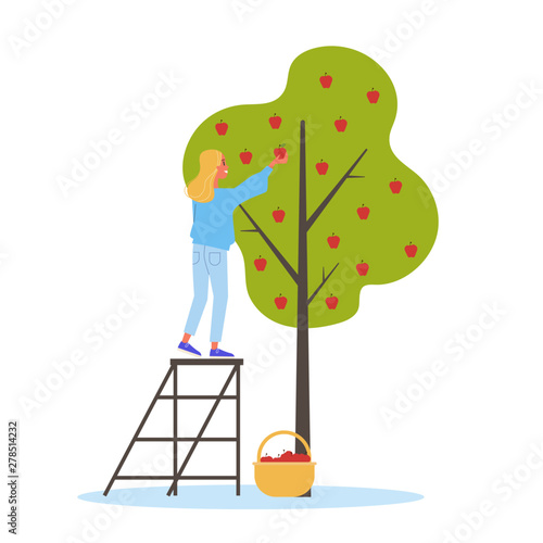 Woman gathering apple from the tree