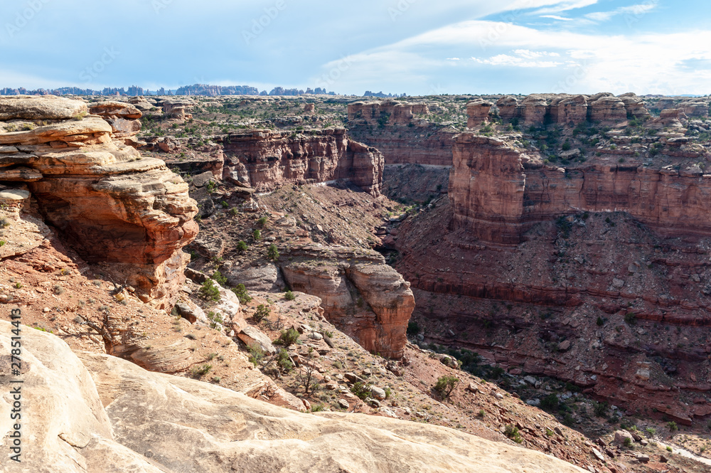 Landscape along the Lost Canyon Loop Trail. The Needles Area, Canyonlands National Park, Utah.