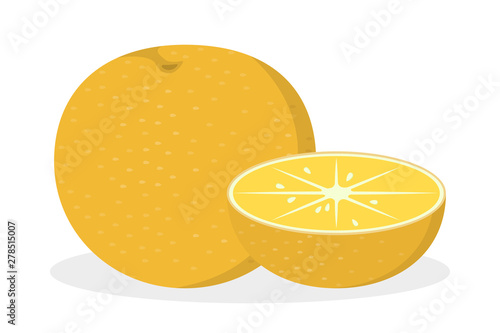 Orange fruit. Slice of fresh juicy food full of vitamin