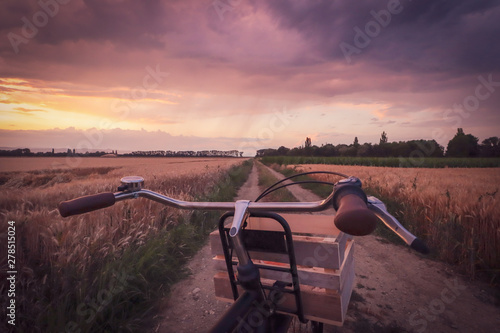 Vélo vintage sur un chemin ...