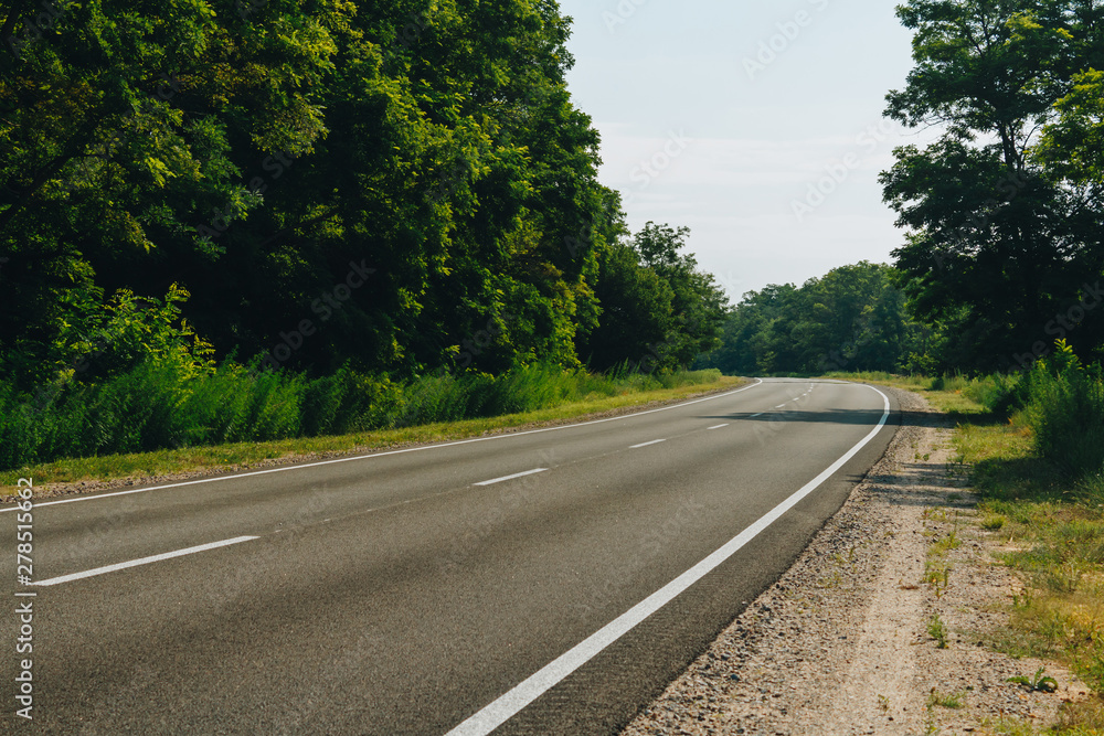 Fototapeta premium The long empty road in the full forest on the way