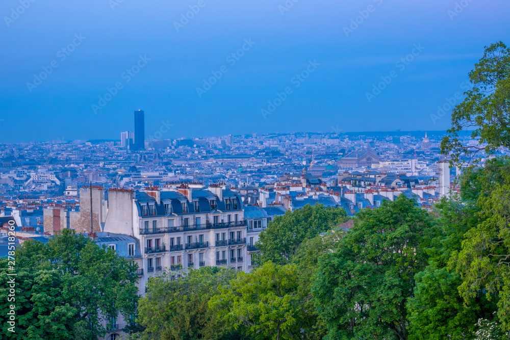 Parisian Roofs in the Early Morning