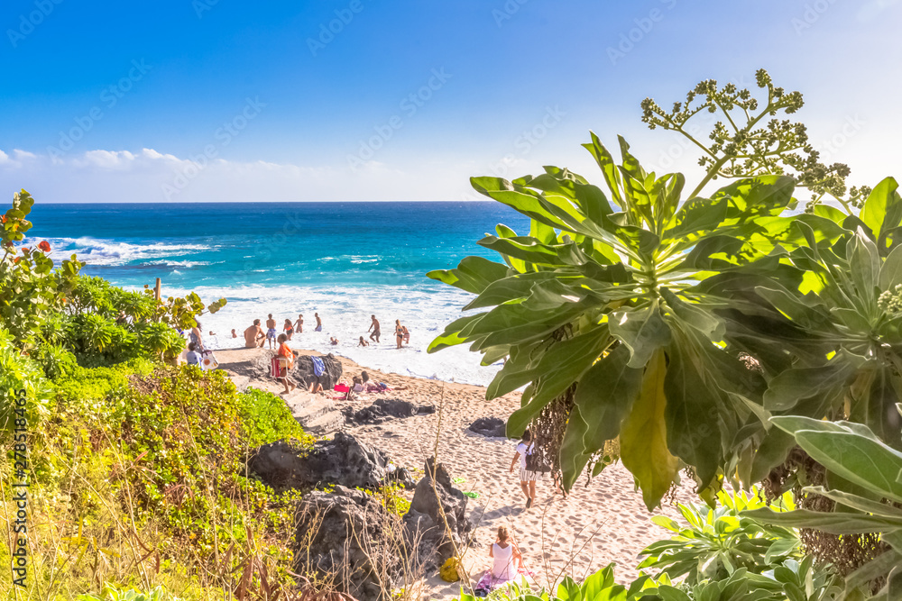 beach with palm trees and blue sea, Réunion Island 