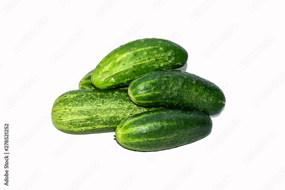 Fresh cucumber from garden bed isolated on white background Fresh cucumber from garden bed isolated on white background