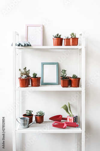 House plants in pots on white shelf at home © fotofabrika