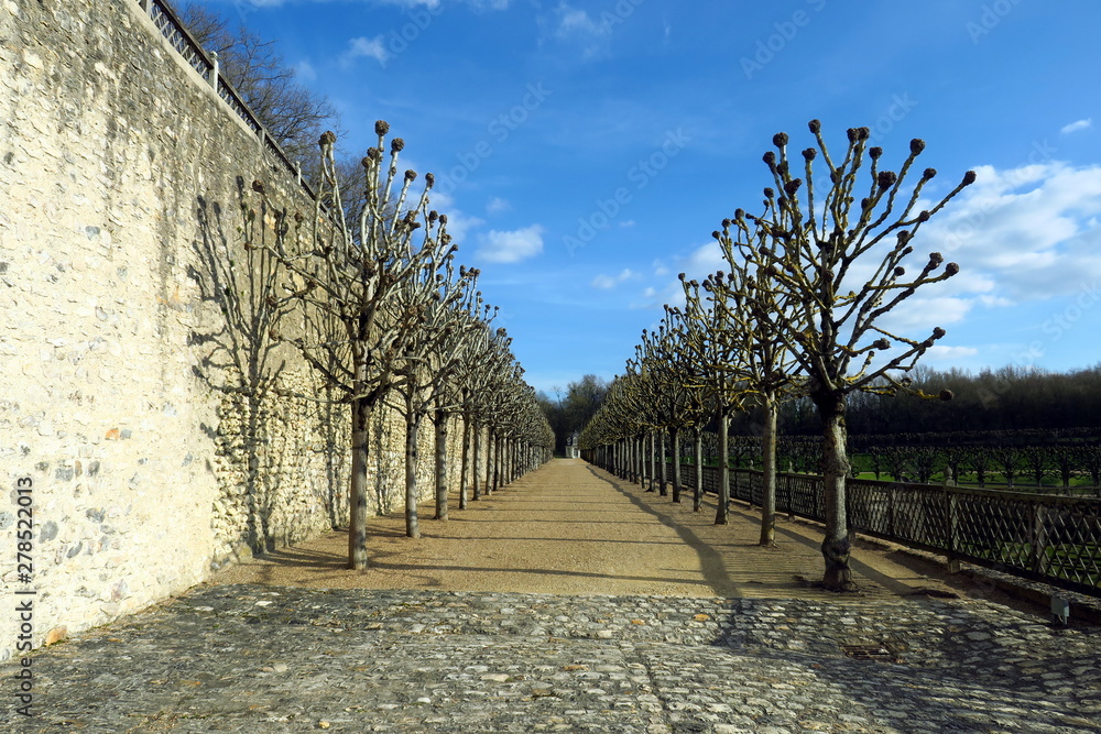 Fototapeta premium Perspective on a promenade