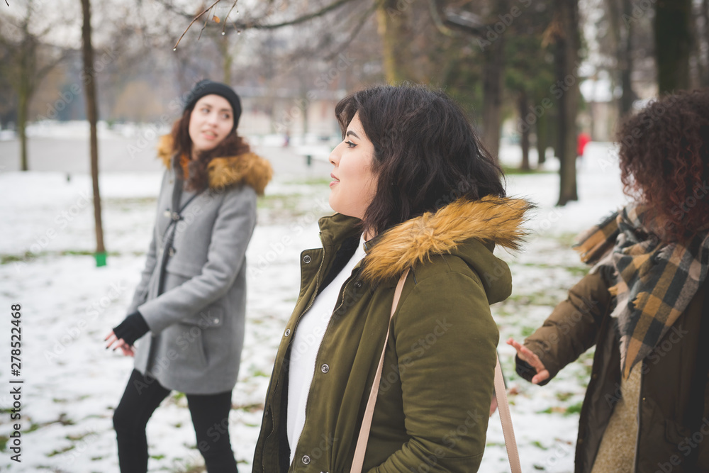 group of young women walking in park with snow cover group of young women walking in park with snow cover