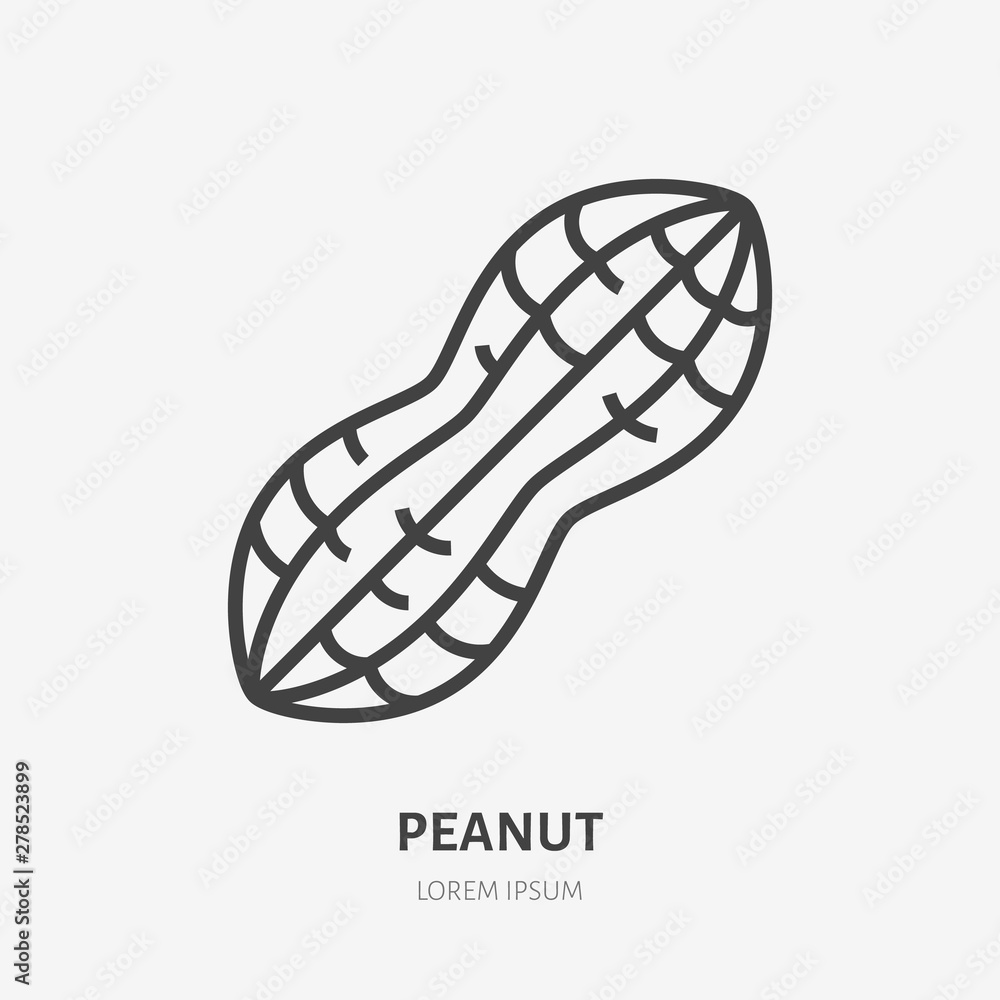 Peanut flat line icon. Vector thin sign of nut, healthy food outline illustration Peanut flat line icon. Vector thin sign of nut, healthy food outline illustration