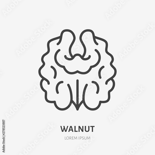 Walnut flat line icon. Vector thin sign of nut, healthy food outline illustration
