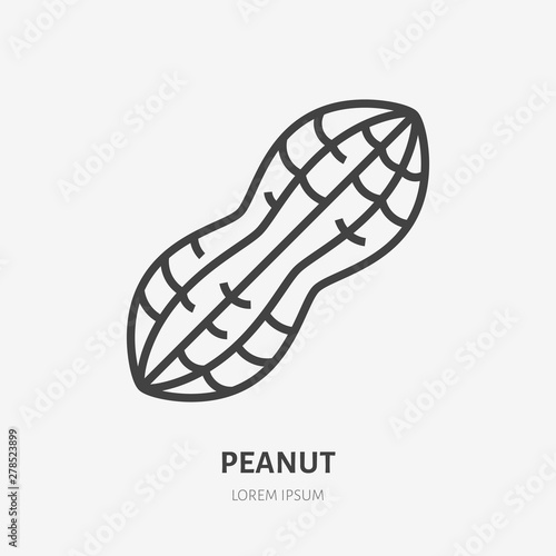 Peanut flat line icon. Vector thin sign of nut, healthy food outline illustration