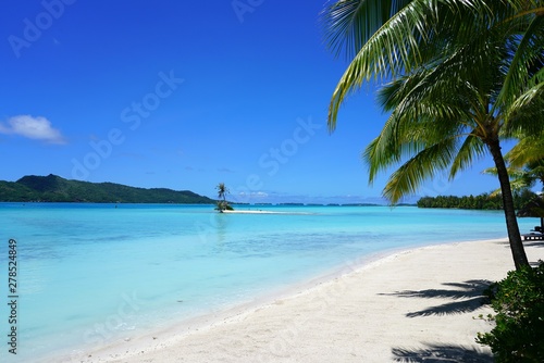 Fototapeta Naklejka Na Ścianę i Meble -  View of a tropical landscape with palm trees, white sand and the turquoise lagoon water in Bora Bora, French Polynesia, South Pacific