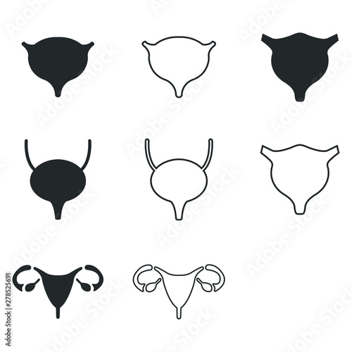 Bladder icons set. vector illustration. organ icons set