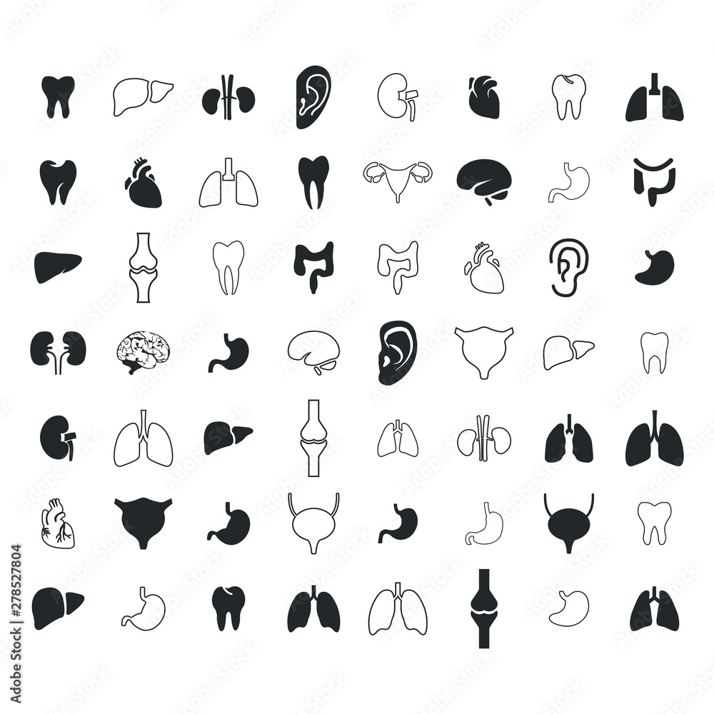Fotografie Organ icons set. Vector illustration